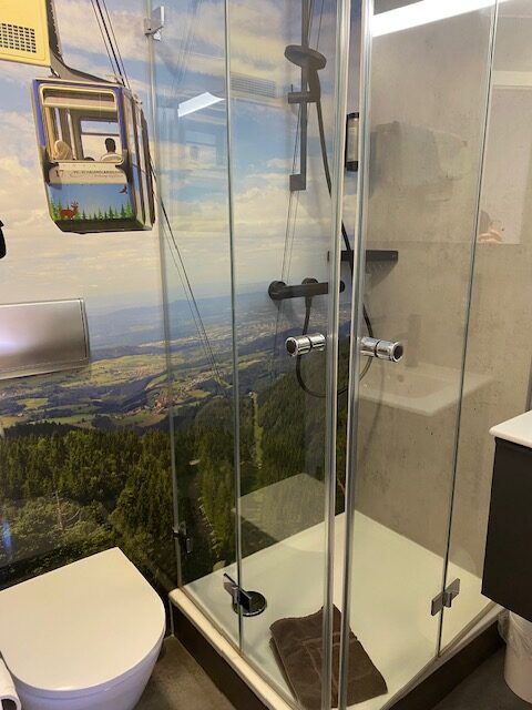 Steh-Dusche mit Bildern an der Wand und Toilette nebenan